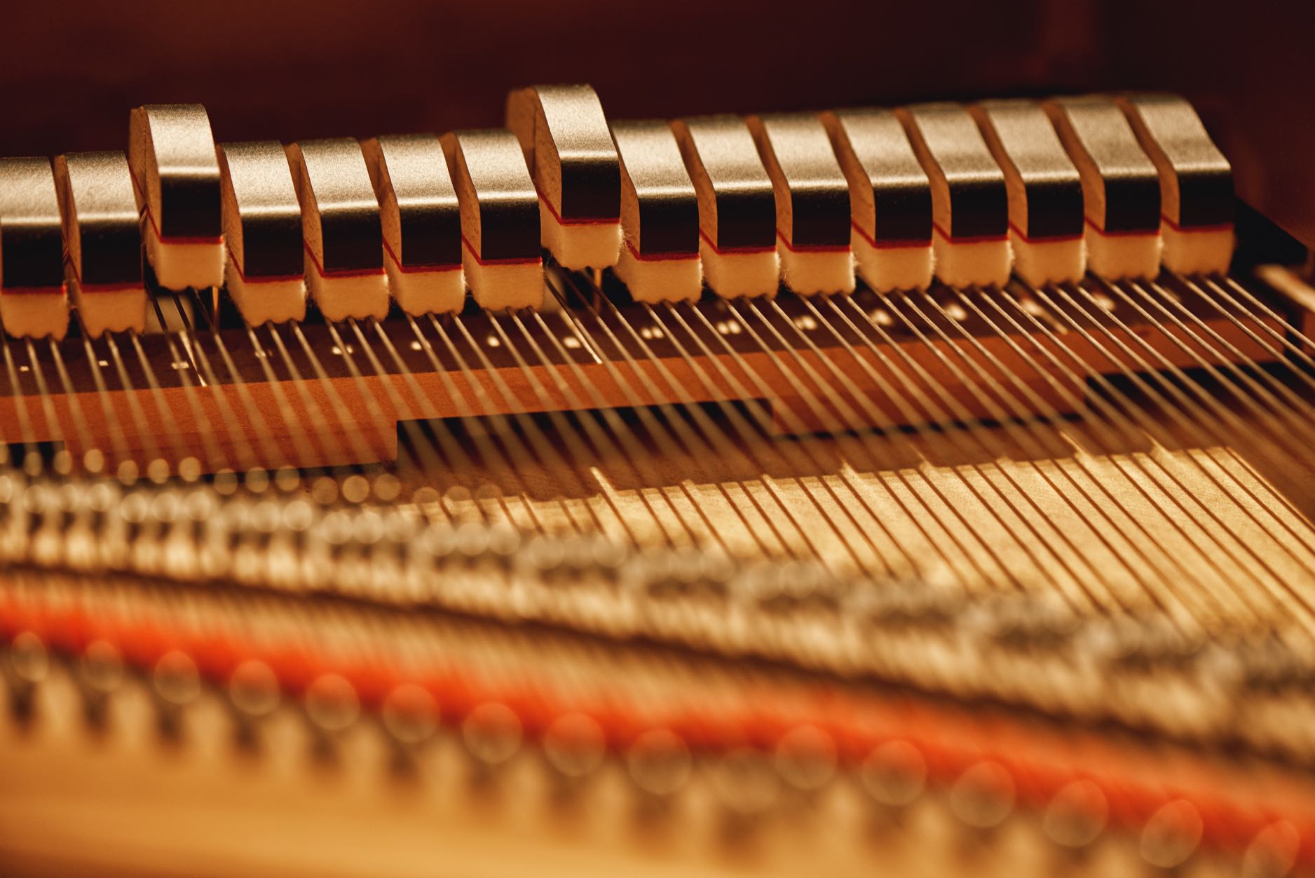 A grand piano's dampers are raised as a key is held.